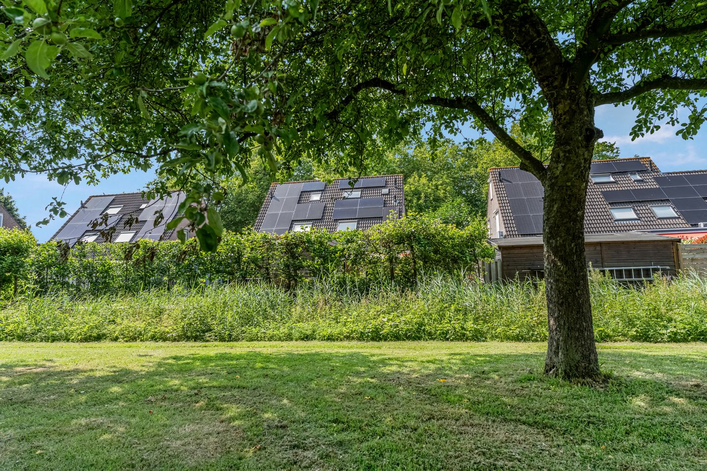 Foto 49 van Adriaan van Ostadestraat 12