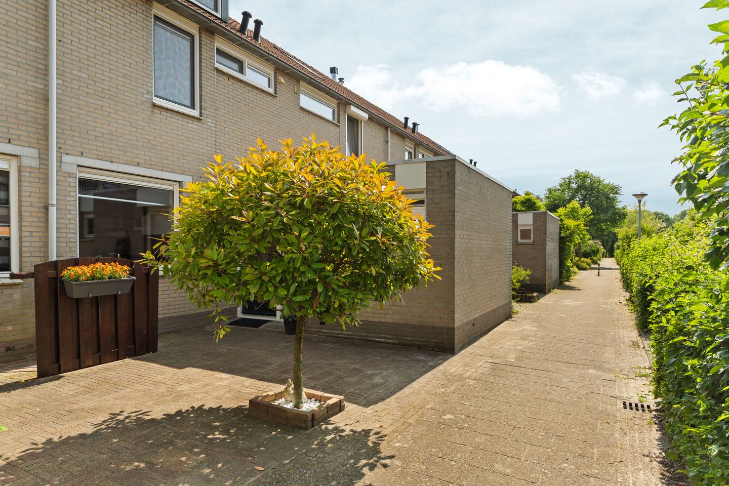 Foto 5 van Kalmoespad 5