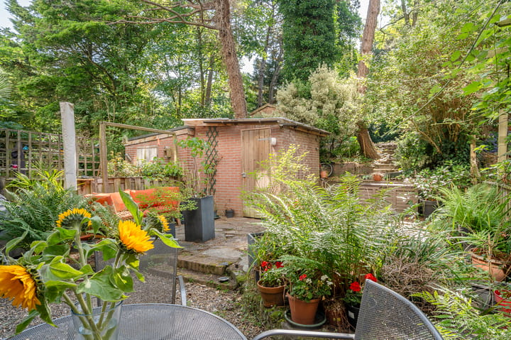 Foto 24 van Doornstraat 134