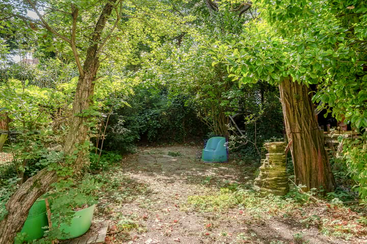 Foto 28 van Doornstraat 134