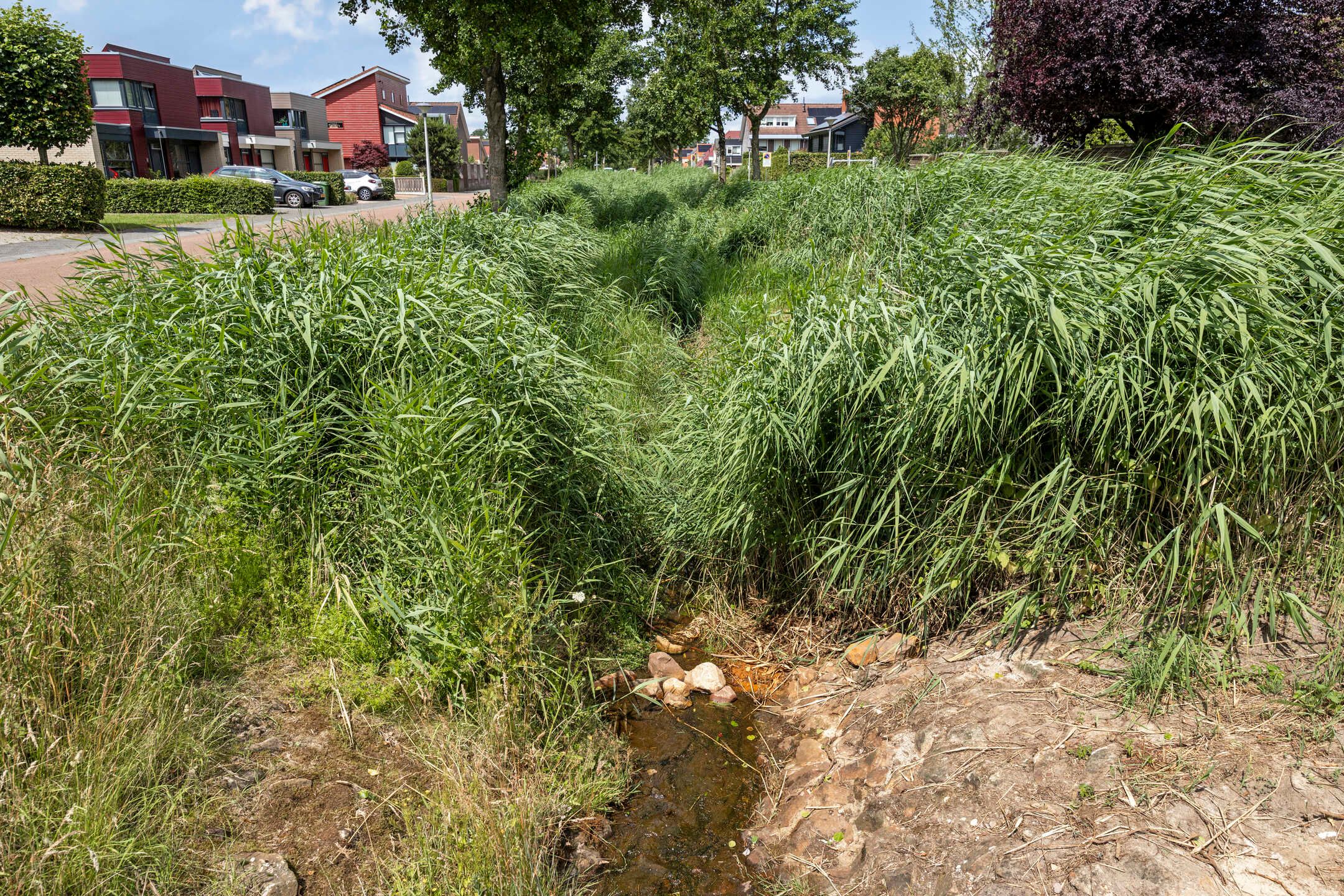 Foto 36 van Erve Lambertman 16