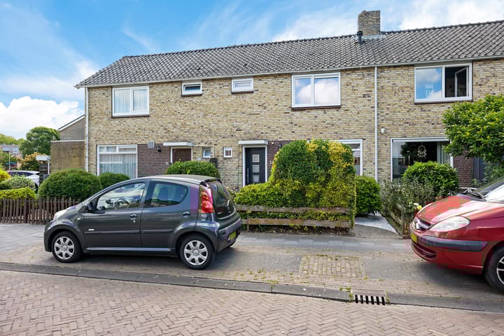 undefined main image