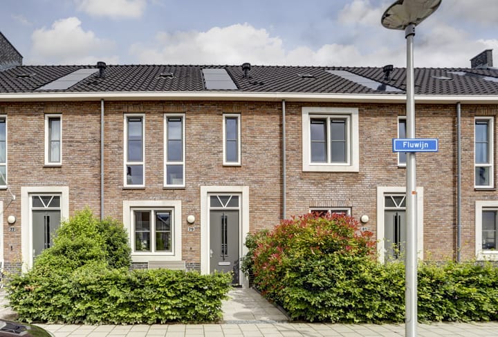 Foto 2 van Fluwijn 79