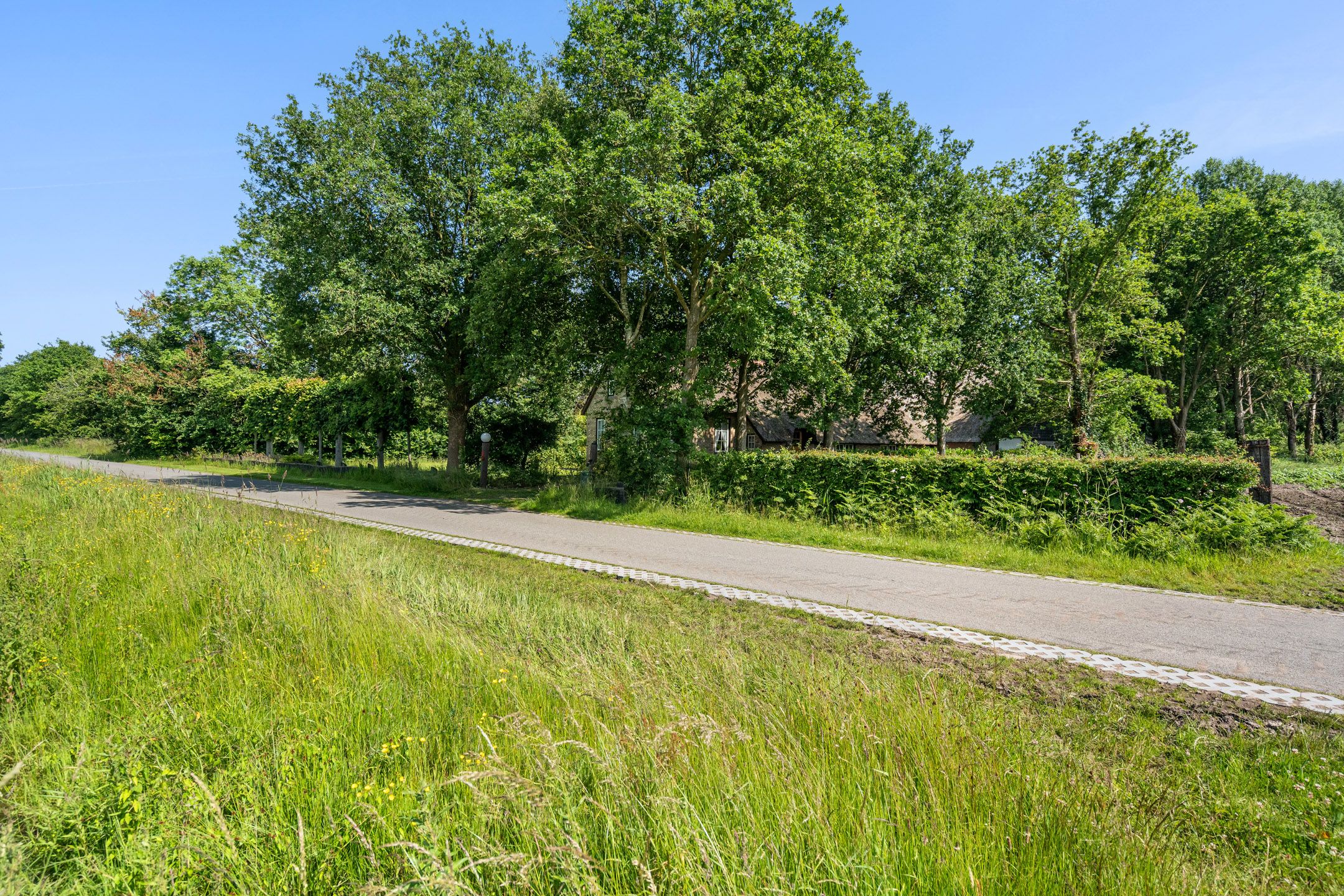 Foto 3 van Binnenweg 37