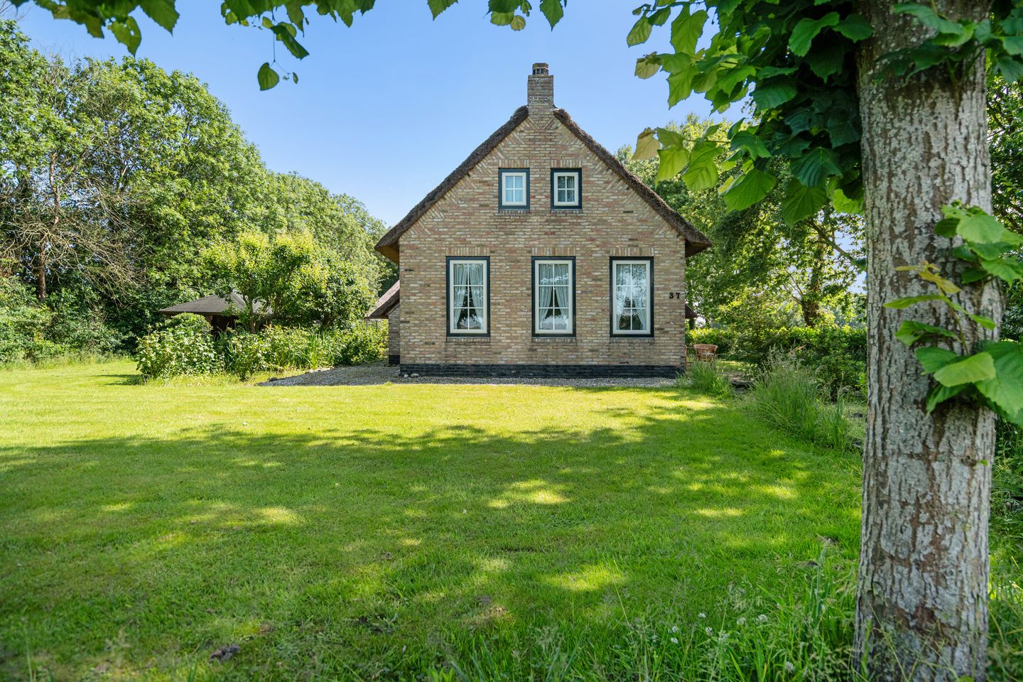 Foto 5 van Binnenweg 37