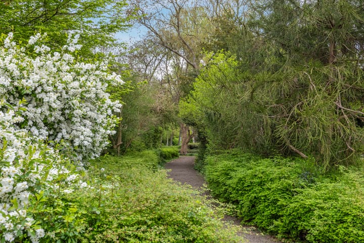 Foto 30 van Pampus 3