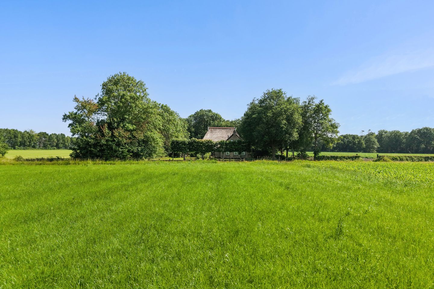 Foto 74 van Binnenweg 37