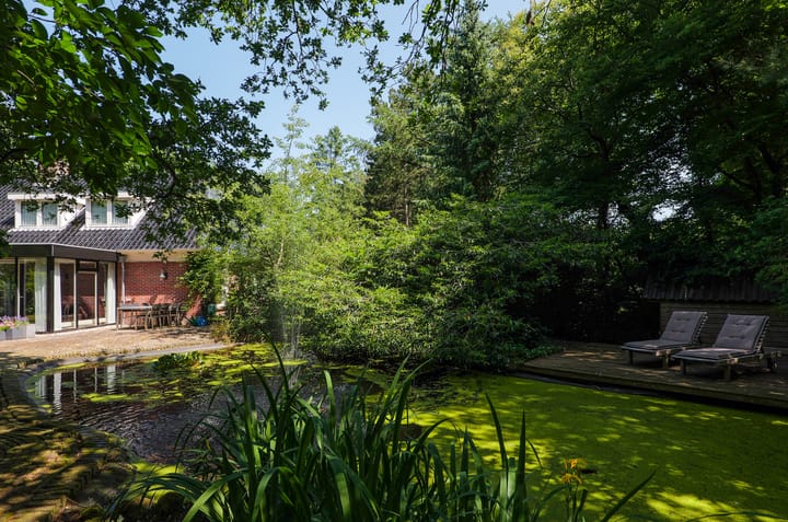 Foto 69 van Ruiterweg 17