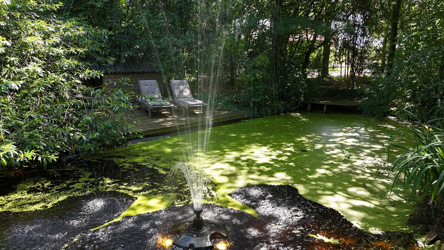 Foto 70 van Ruiterweg 17