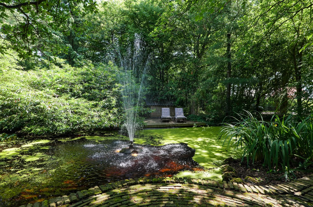 Foto 71 van Ruiterweg 17