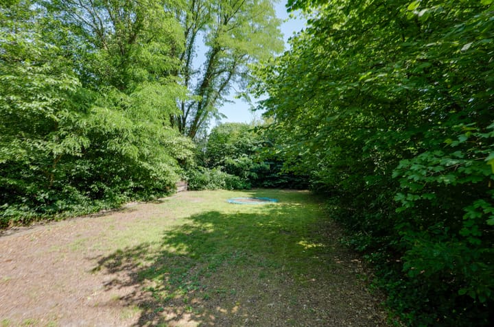 Foto 79 van Ruiterweg 17