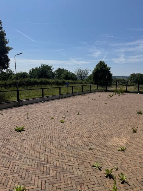 Bekijk foto 5 van Hilleshagerweg 33