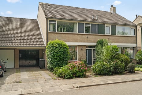 undefined main image