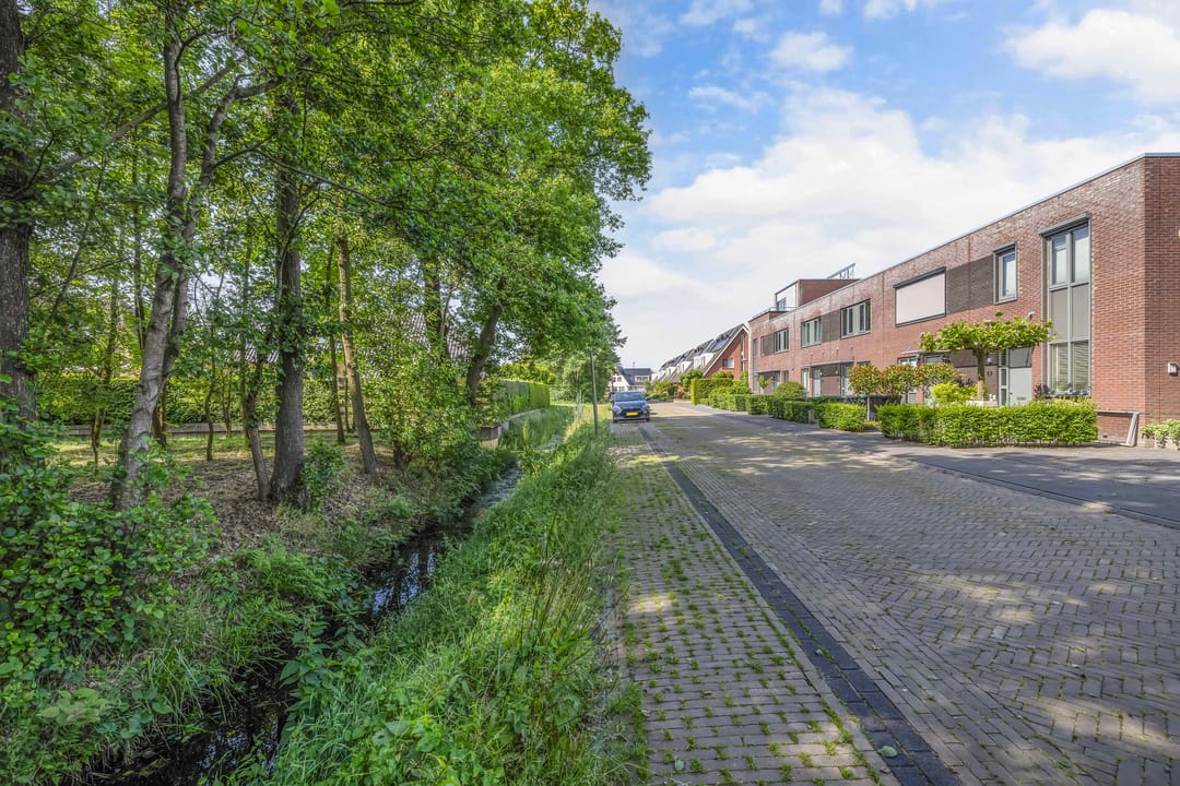 Foto 2 van Topaas 45