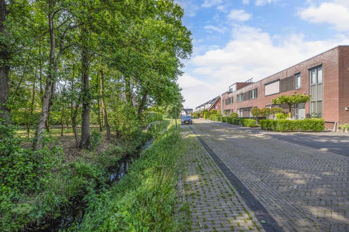 Foto 2 van Topaas 45