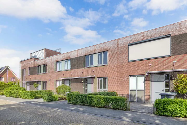 Foto 4 van Topaas 45