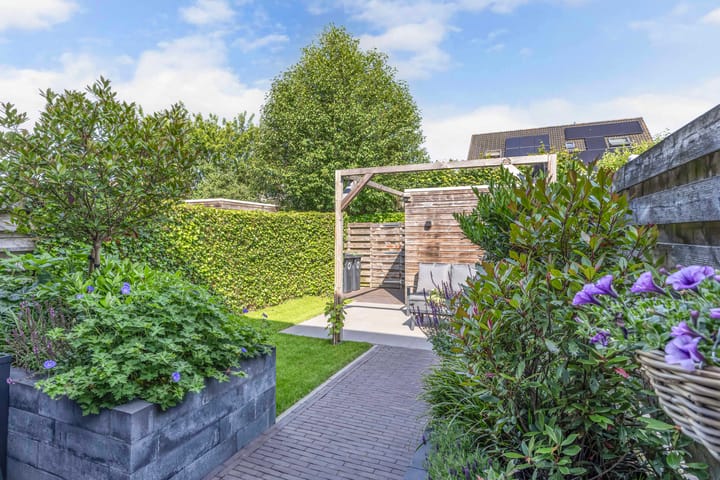 Foto 18 van Topaas 45