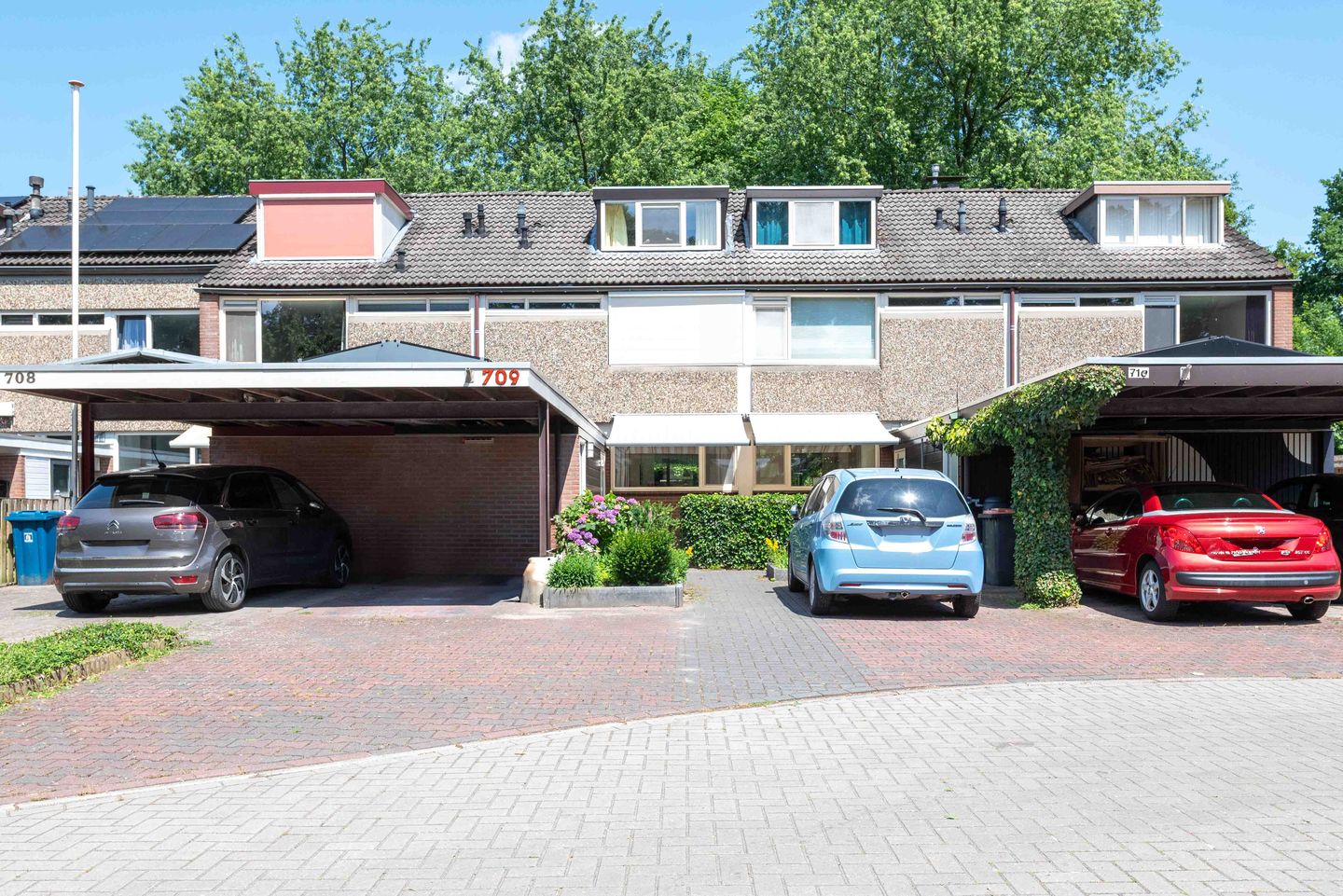 Scheerdersdonk 709 main image