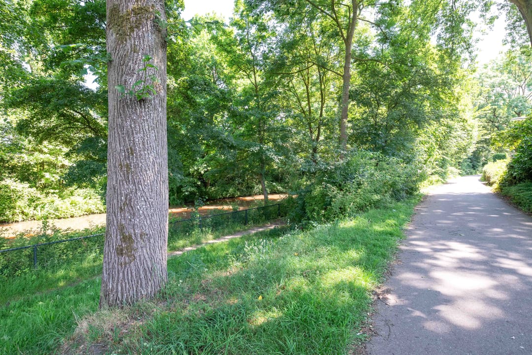 Foto 28 van Scheerdersdonk 709