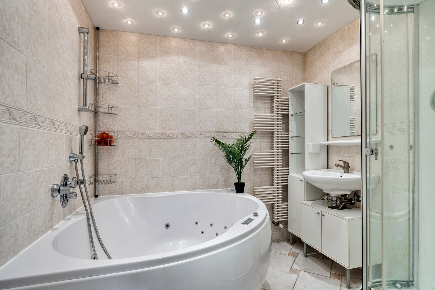 Foto 25 van van Alphenstraat 45