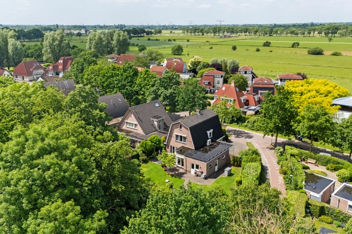 Foto 2 van Roodwilligen 64