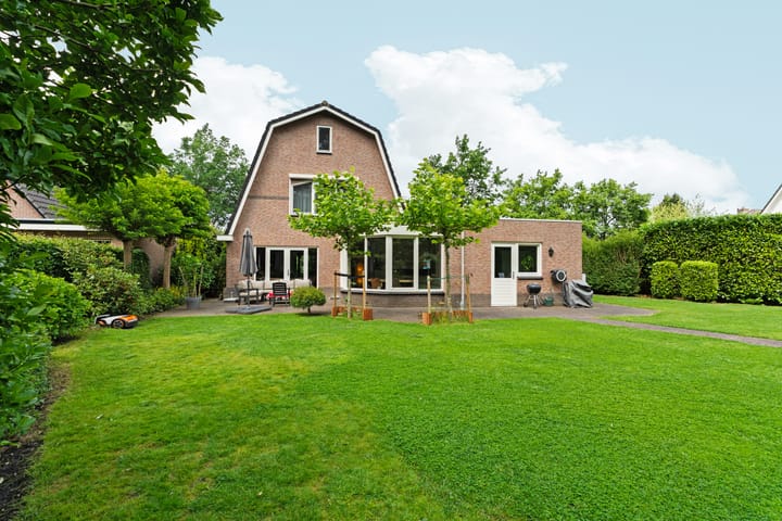 Foto 3 van Roodwilligen 64