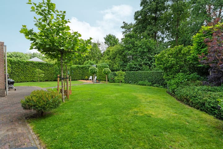 Foto 51 van Roodwilligen 64