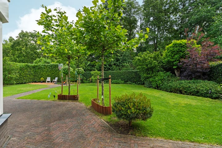 Foto 52 van Roodwilligen 64