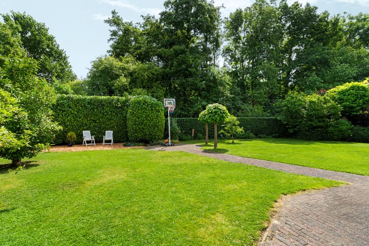 Foto 53 van Roodwilligen 64