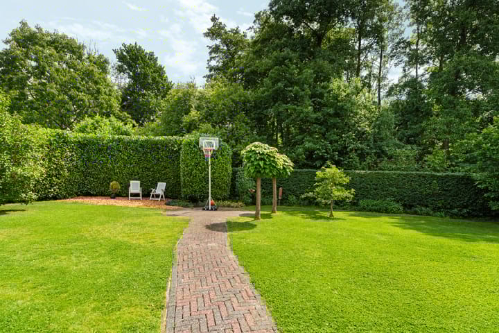 Foto 54 van Roodwilligen 64