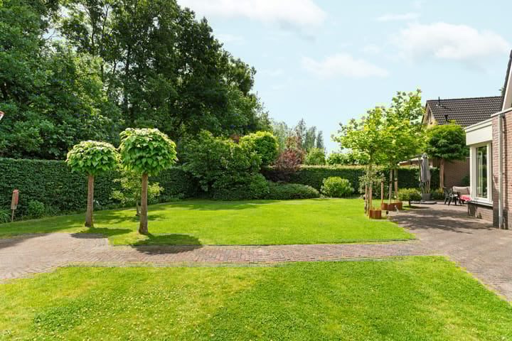 Foto 57 van Roodwilligen 64