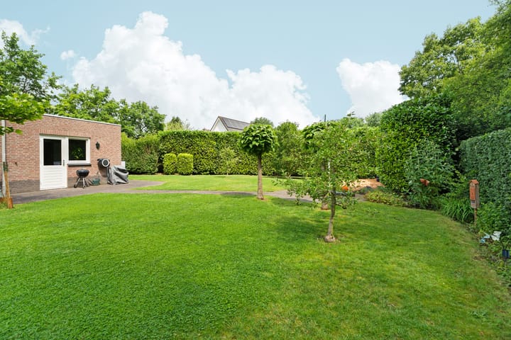 Foto 59 van Roodwilligen 64