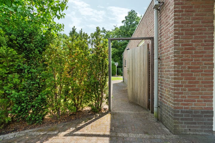 Foto 61 van Roodwilligen 64