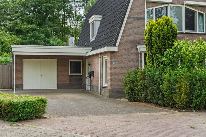 Foto 63 van Roodwilligen 64