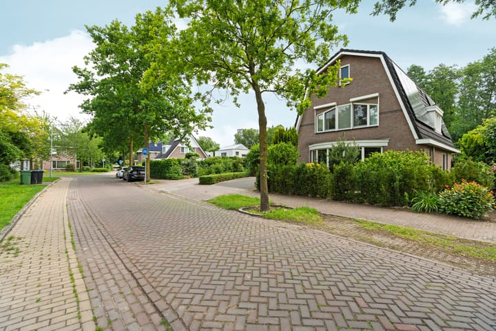 Foto 64 van Roodwilligen 64