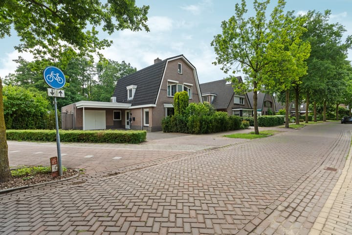 Foto 65 van Roodwilligen 64