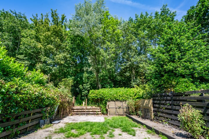 Foto 3 van Leemveld 62