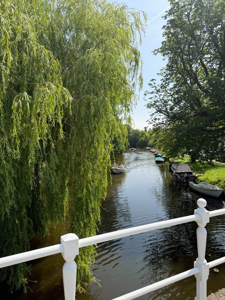 Foto 60 van Kennemerpark 35