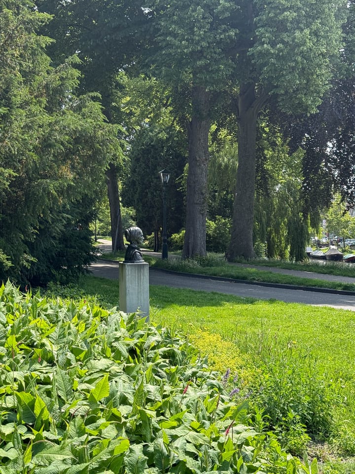 Foto 61 van Kennemerpark 35