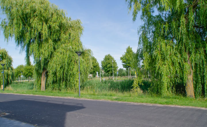 Foto 46 van Mosselplaat 10