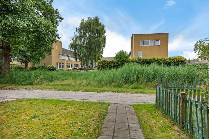 Foto 10 van Vliet 58