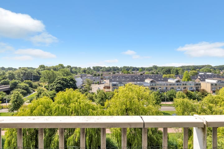 Foto 38 van Eesterwaard 98