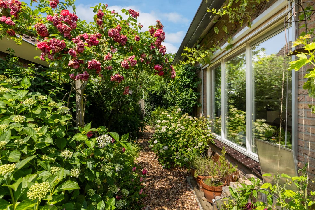 Foto 26 van Magnolialaan 20