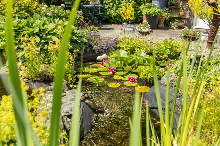 Foto 27 van Magnolialaan 20