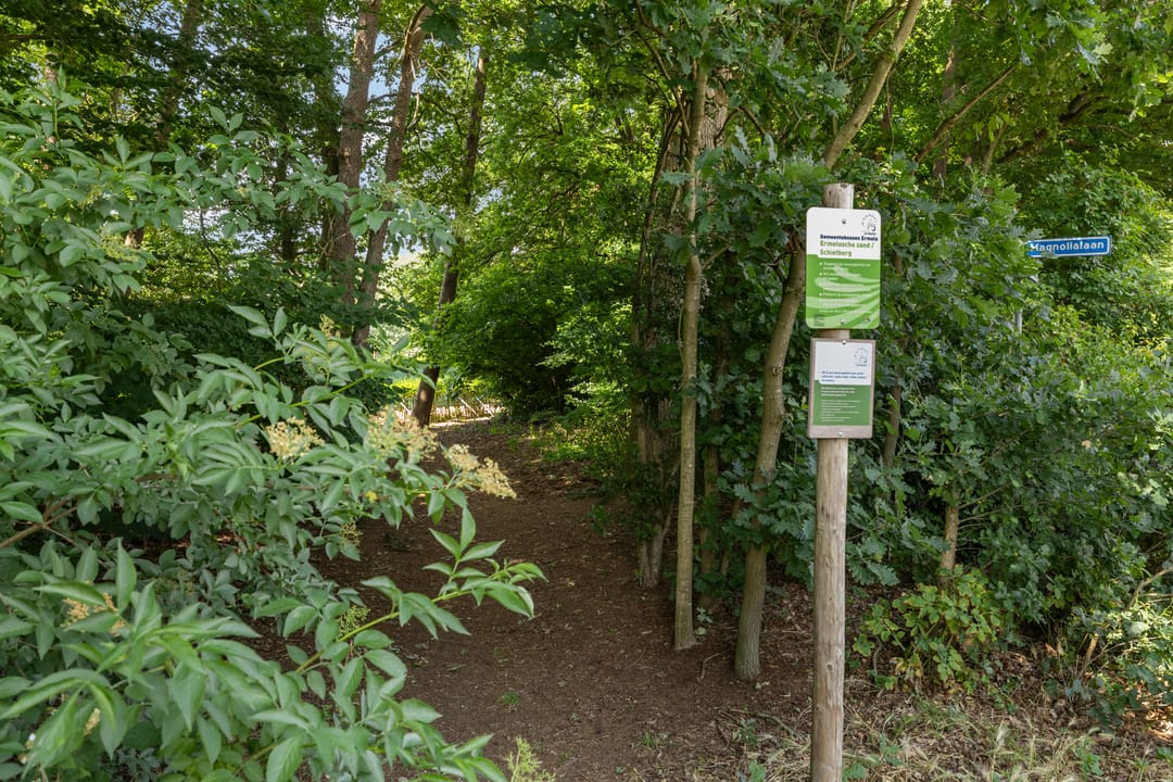 Foto 46 van Magnolialaan 20