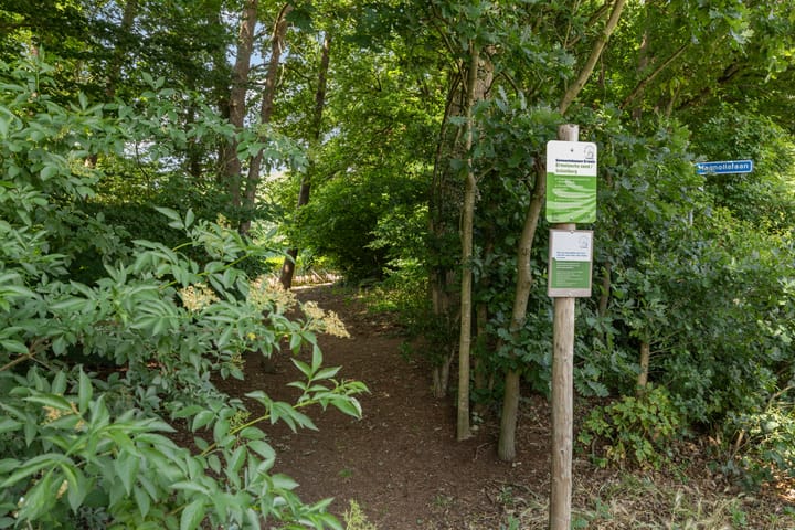 Foto 46 van Magnolialaan 20