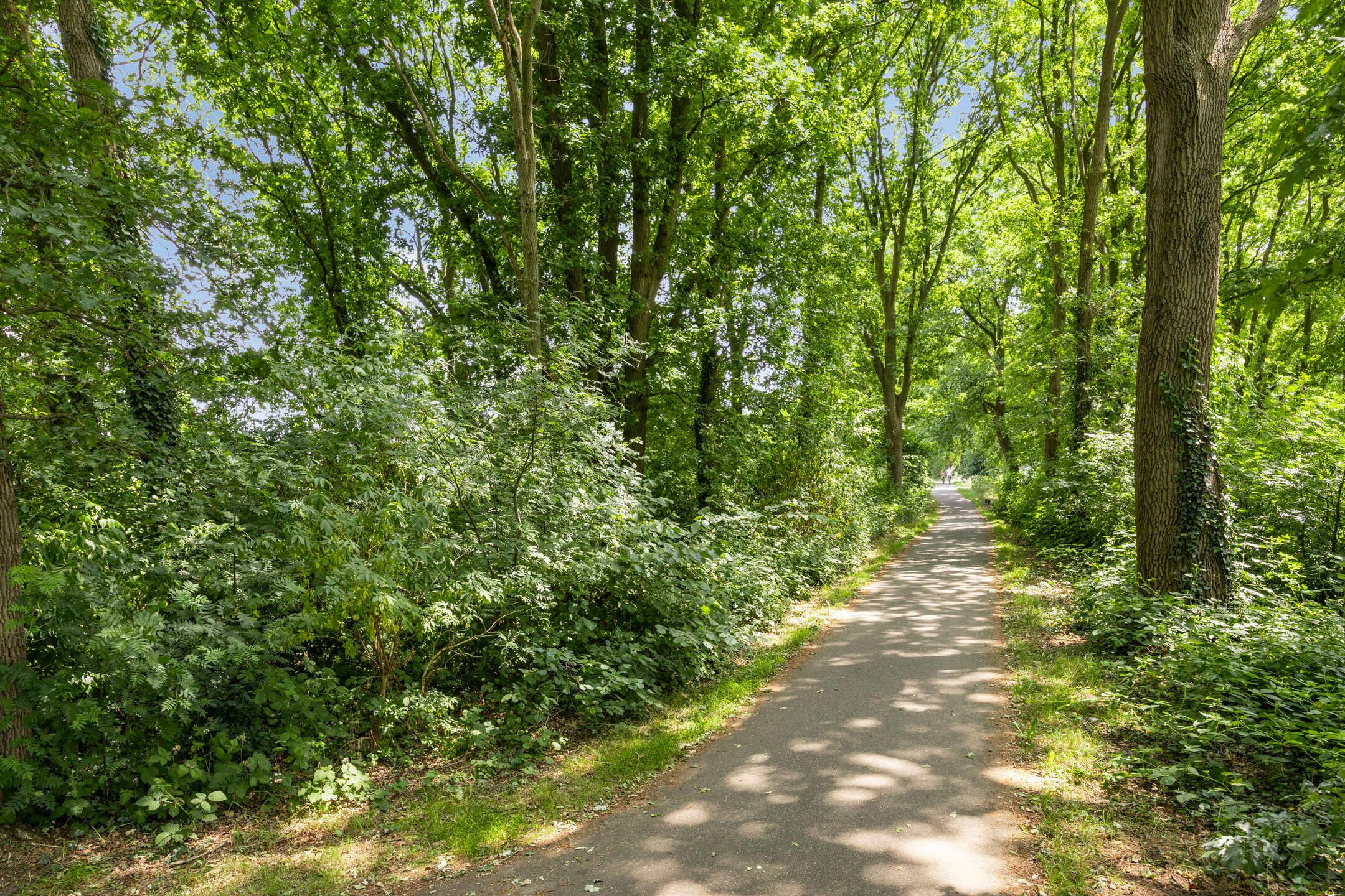 Foto 66 van Donauring 190