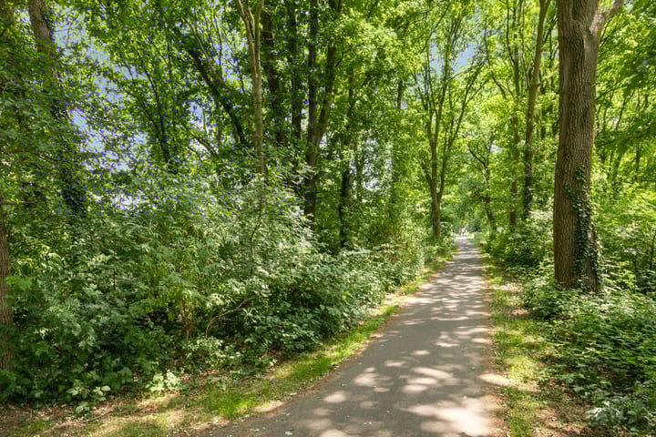 Foto 66 van Donauring 190