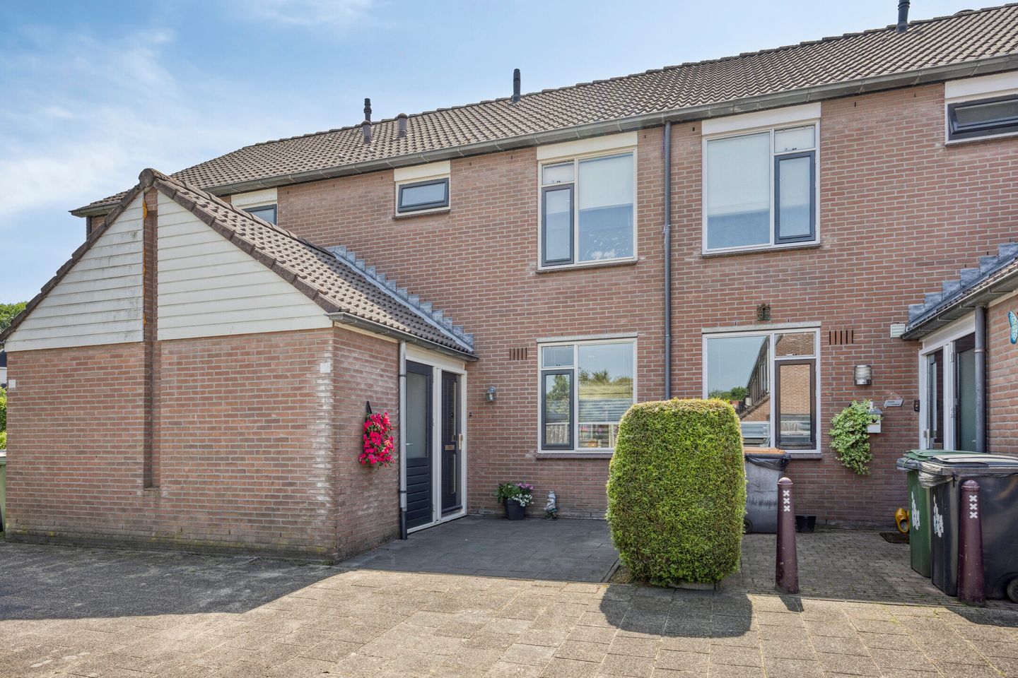 Engelwortel 64 main image