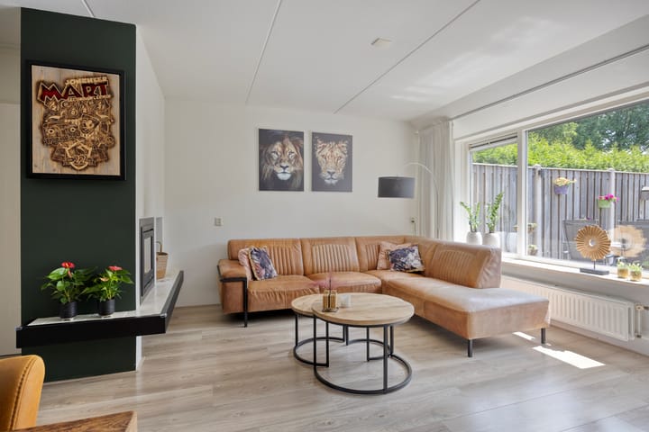 Foto 3 van Engelwortel 64